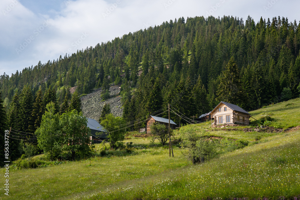 The beautiful nature of Rugova canyon in Kosovo The beautiful nature of Rugova canyon in Kosovo