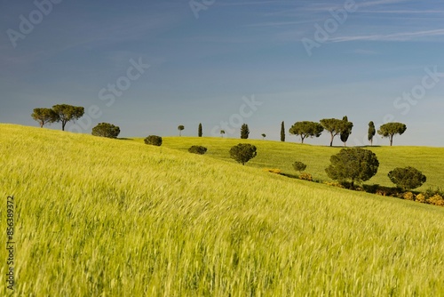 Landscape around San Quirico dOrcia, Val d'Orcia, Orcia Valley, UNESCO World Heritage Site, Province of Siena, Tuscany, Italy, Europe