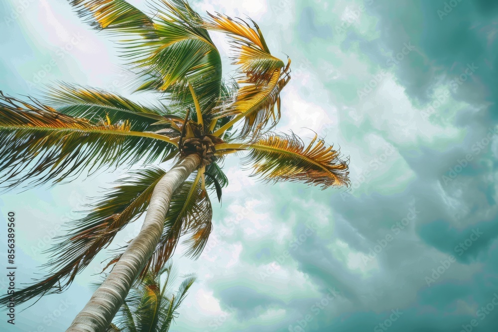 At the hurricane, the blurred leaves caused wind and heavy rain At the hurricane, the blurred leaves caused wind and heavy rain