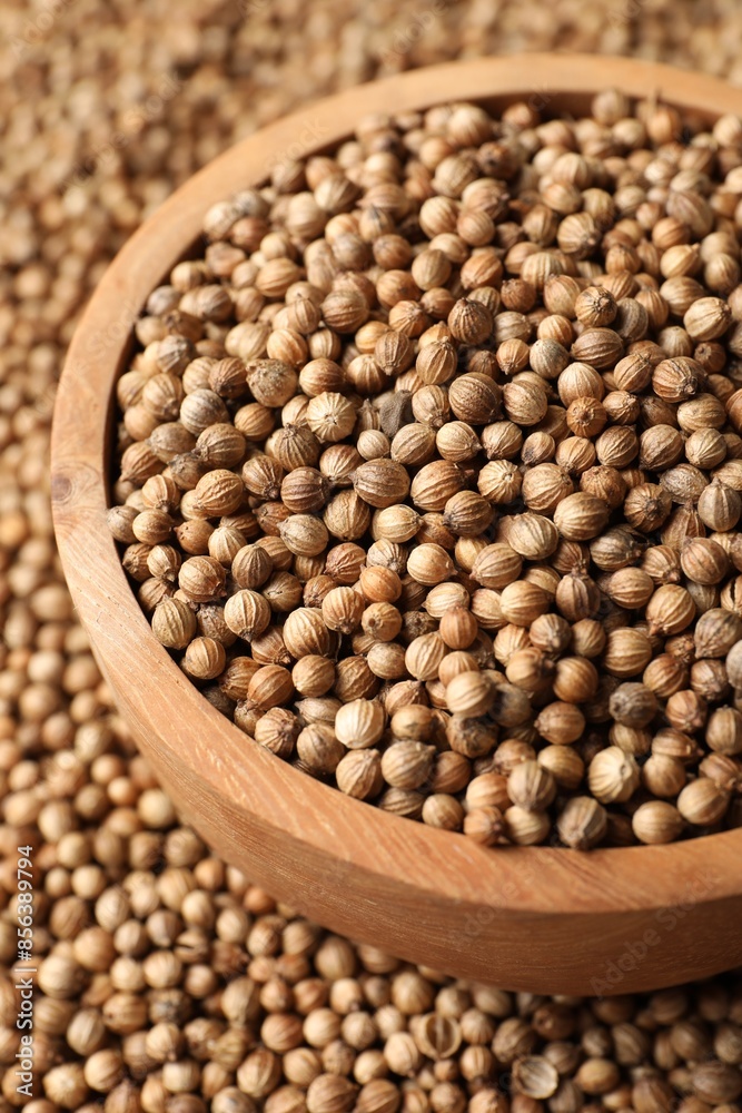 Dried coriander seeds in bowl, closeup view Dried coriander seeds in bowl, closeup view
