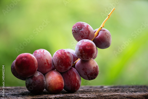 Date palm fruits on natural background. photo