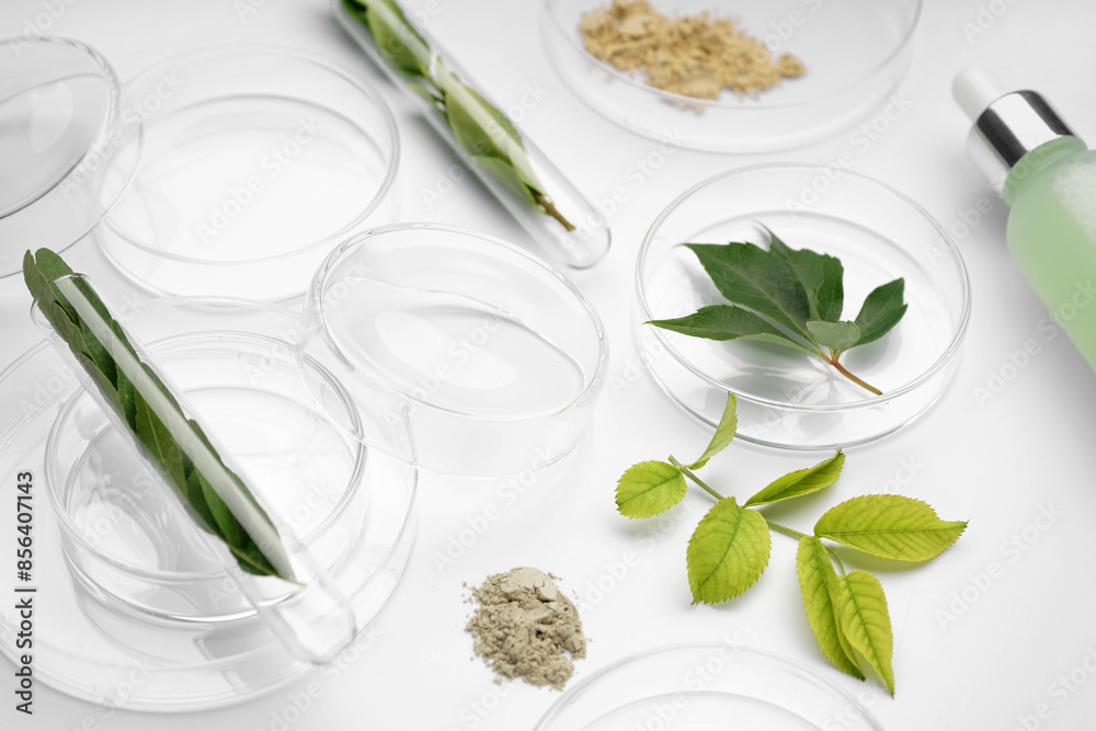 Petri dishes with plant leaves, cosmetic product and samples on white background Petri dishes with plant leaves, cosmetic product and samples on white background