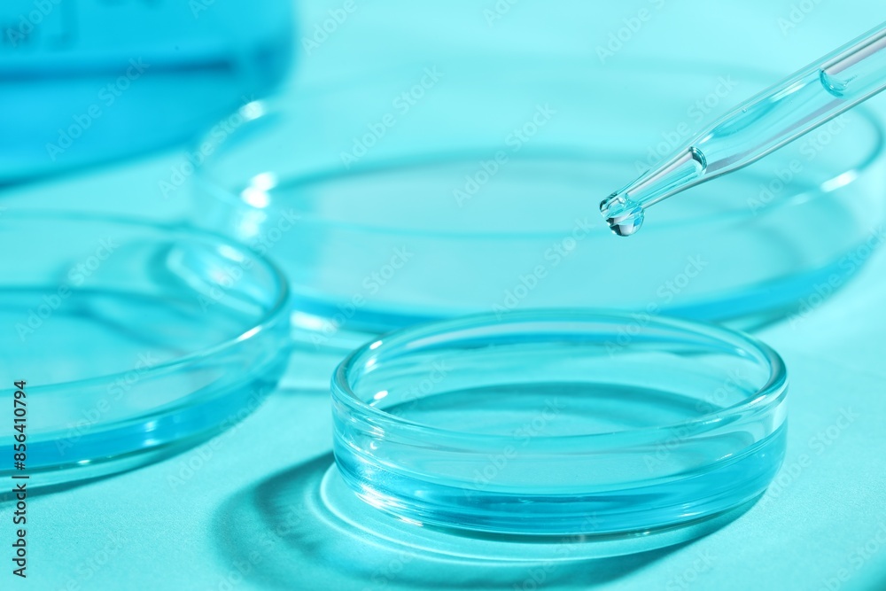 Dripping liquid from pipette into petri dish at light blue table, closeup. Laboratory analysis Dripping liquid from pipette into petri dish at light blue table, closeup. Laboratory analysis