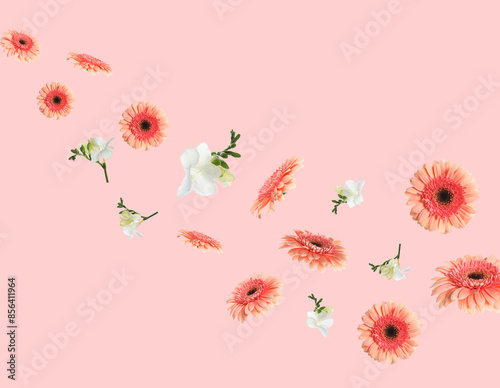 Fototapeta Naklejka Na Ścianę i Meble -  Coral gerbera and white freesia flowers flying on pink background