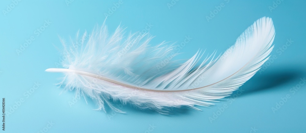Naklejka premium A white feather is laying on a blue background