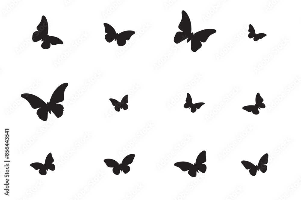 Fototapeta premium set of butterflies silhouettes