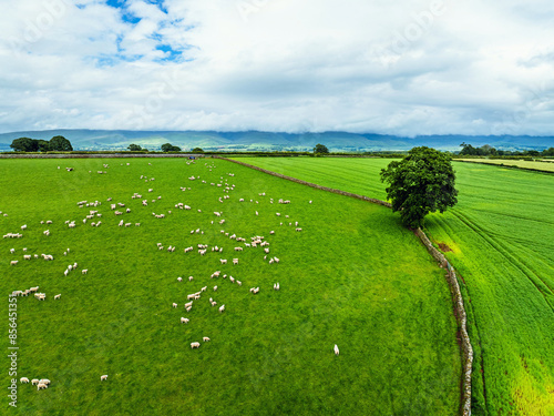 Farms and Fields over River Eden and River Eamont from a drone, Cumbria, England photo