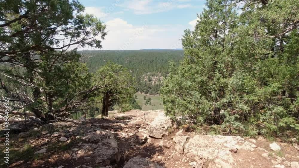 Walking up to a rocky cliff edge overlooking a large forest valley. Walking up to a rocky cliff edge overlooking a large forest valley.