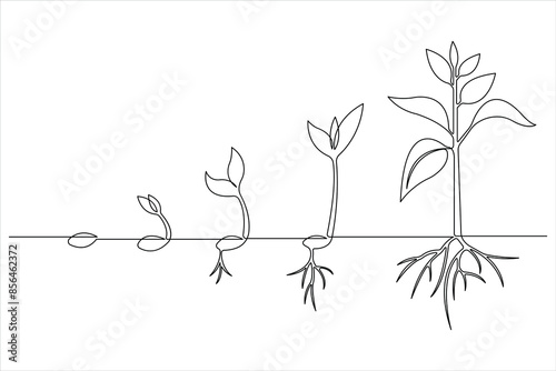 One continuous line drawing Plant growth process 