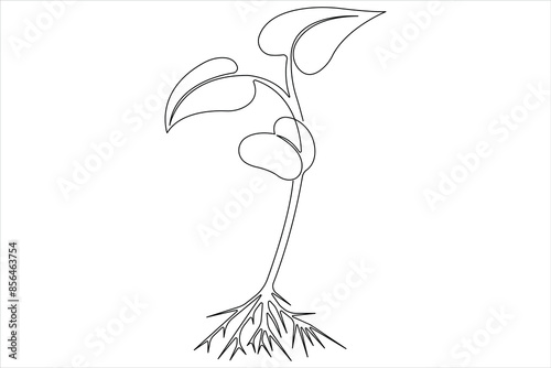 One continuous line drawing Plant growth process 