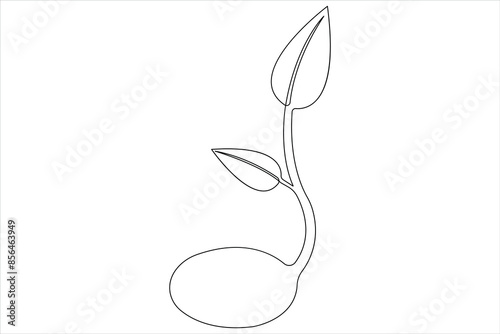One continuous line drawing Plant growth process 
