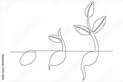 One continuous line drawing Plant growth process 