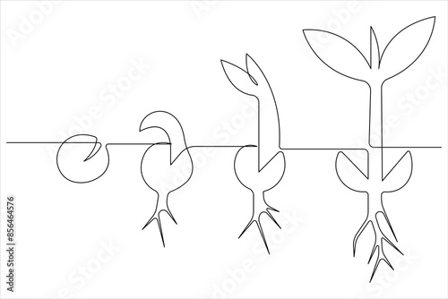 One continuous line drawing Plant growth process 