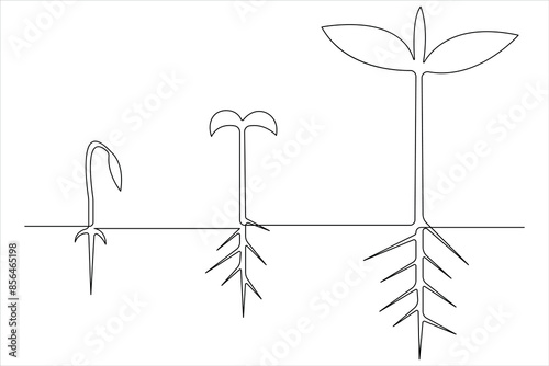 One continuous line drawing Plant growth process 