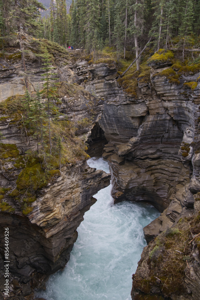 Obraz premium Rocky Cliff Walls at Athabasca Falls