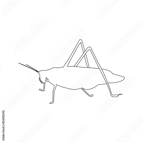katydid grasshopper icon