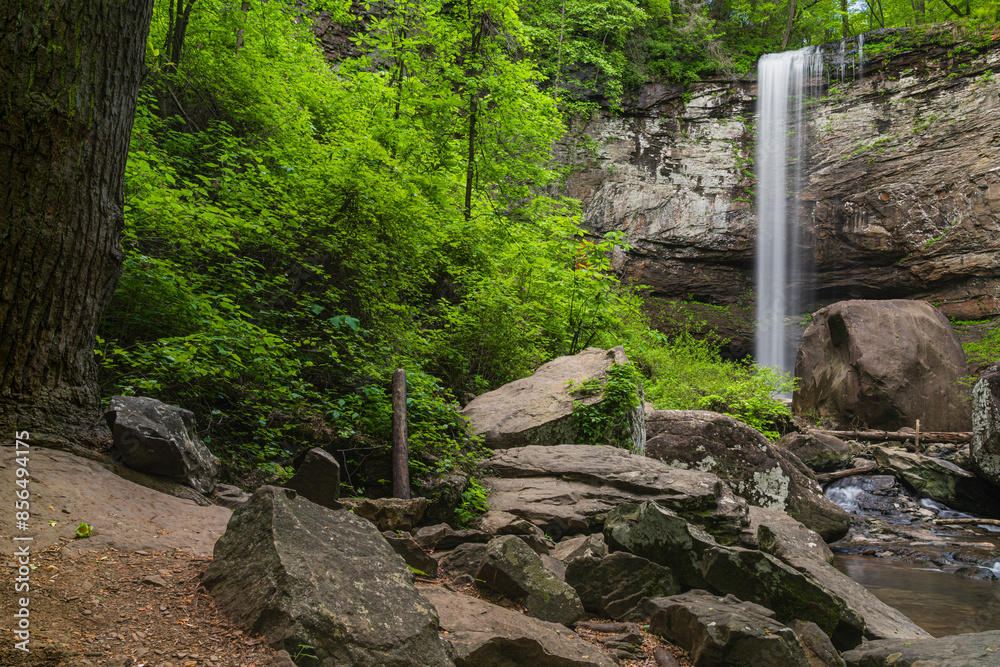 Fototapeta premium Tranquil Hemlock Falls in Cloudland Canyon