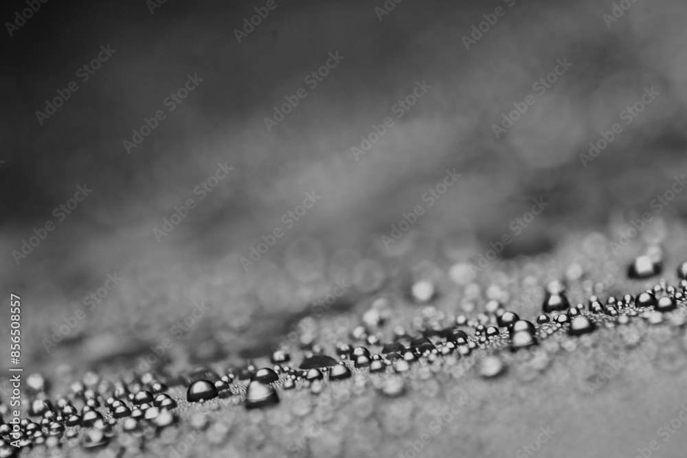 Macro shot of water droplet on waxy surface Macro shot of water droplet on waxy surface