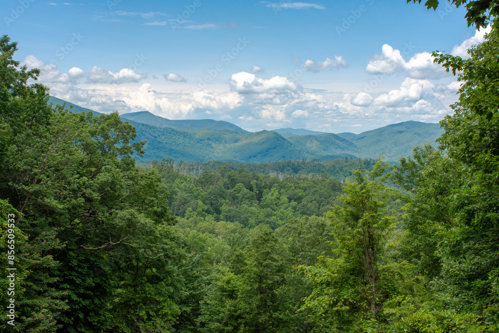 Obraz premium Mountain clearing of trees reveals distant mountains