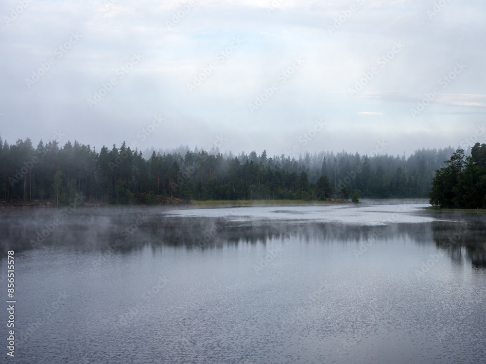 morning landscape with fog morning landscape with fog
