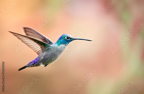 hummingbird and flower generative AI © sakda