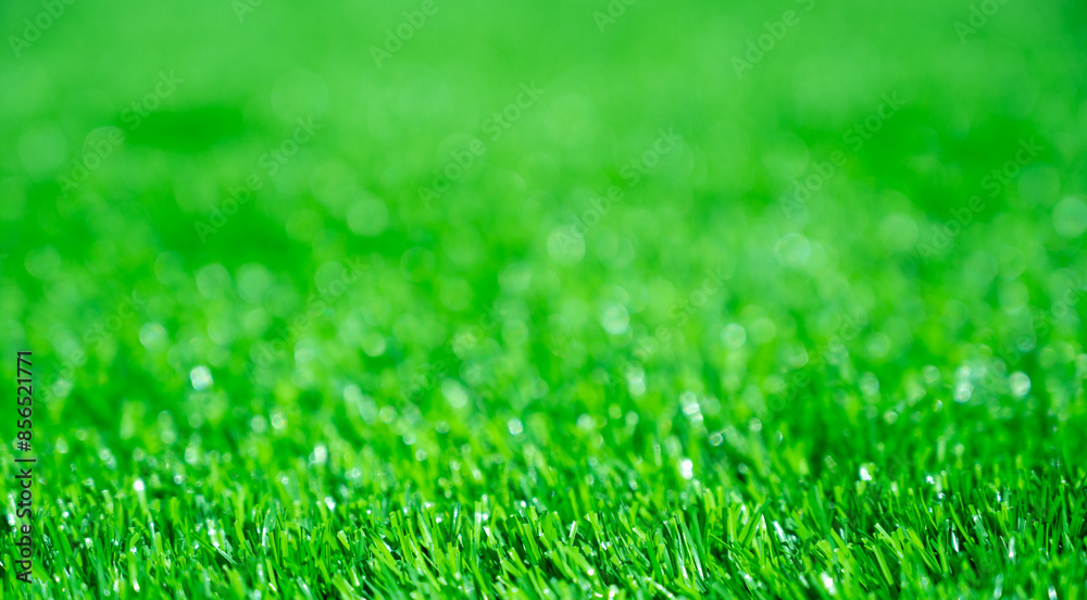 Fototapeta premium Green grass background, wallpaper
