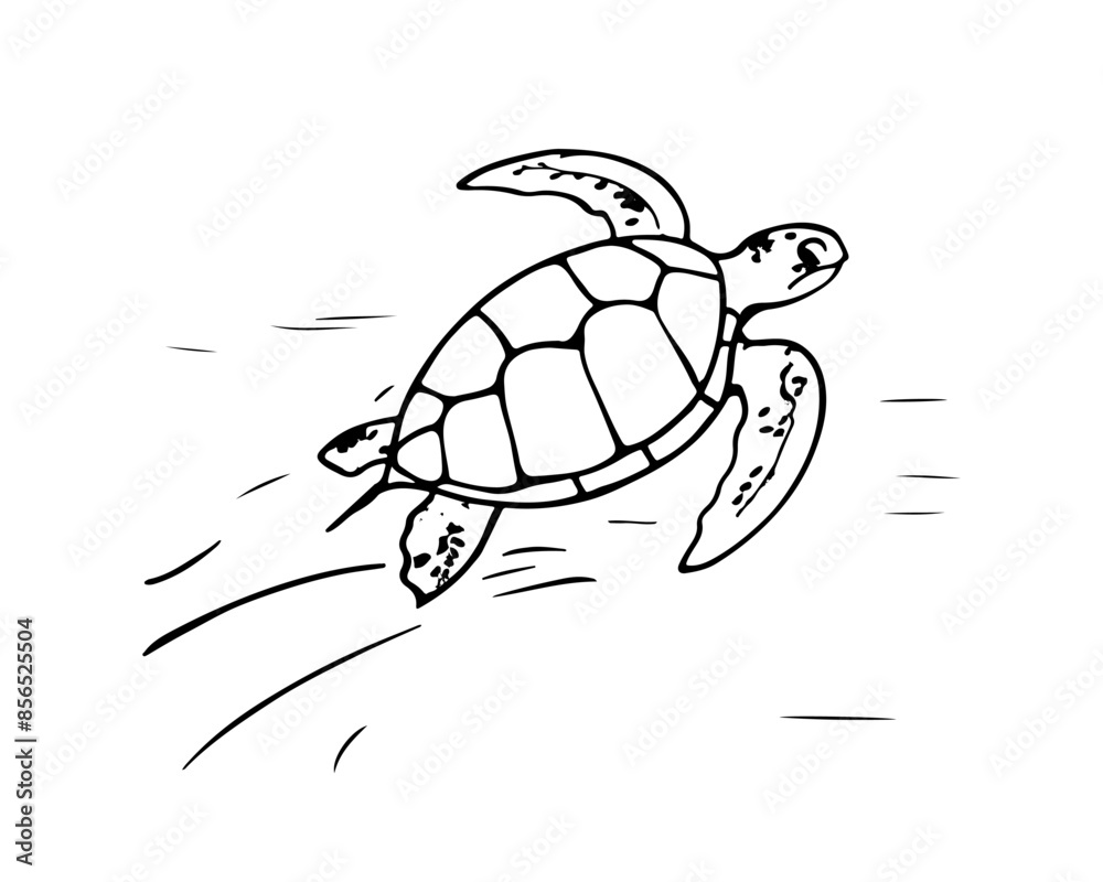 Vector isolated cute cartoon swimming sea turtle colorless black and ...