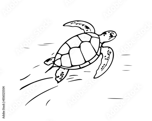 Vector isolated cute cartoon swimming sea turtle colorless black and white contour line drawing, sea turtle silhouette 