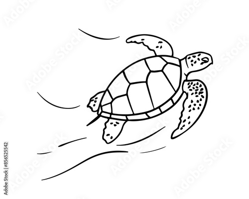 Vector isolated cute cartoon swimming sea turtle colorless black and white contour line drawing, sea turtle silhouette 