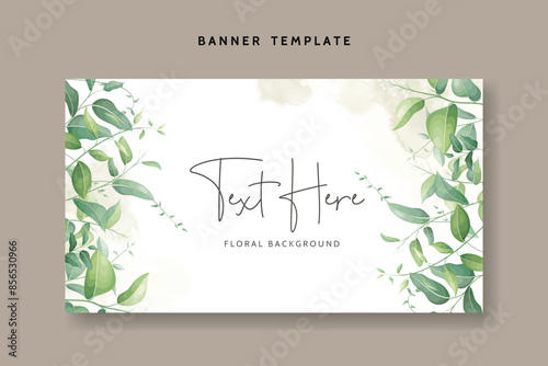 nature background with elegant greenery leaves