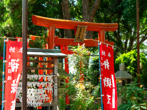 鮮やかな川辺八幡神社境内社「金吉大明神」の鳥居 photo