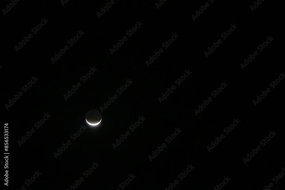 moon in the night moon in the night