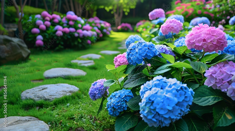 Landscape with hydrangeas surrounded by decorative stone image Landscape with hydrangeas surrounded by decorative stone image