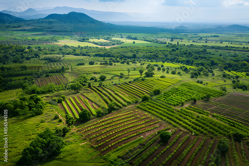 Lush Agricultural Landscape with Fields and Hills