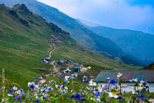 trekking route to Rudranath temple in Uttarakhand 