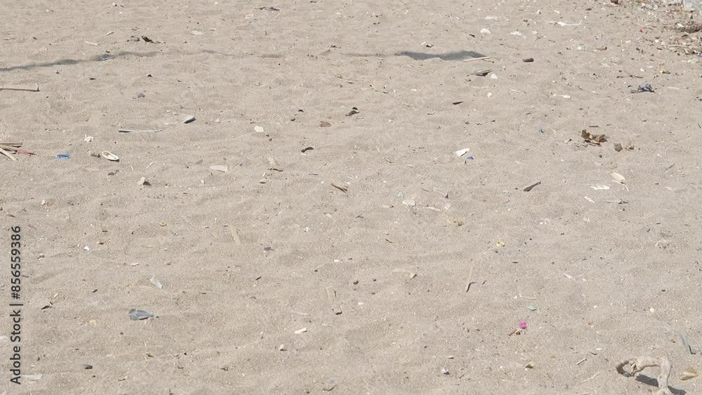 sand pollution in Carter road beach plastics and waste food are thrown on beach mumbai india sand pollution in Carter road beach plastics and waste food are thrown on beach mumbai india