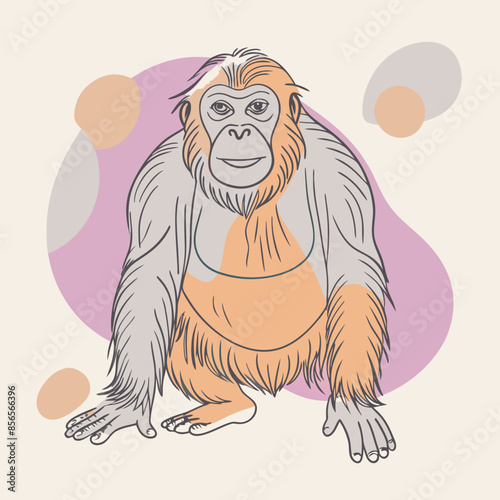 Colorful drawing of an Orangutan photo