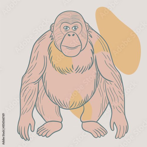 Colorful drawing of an Orangutan photo