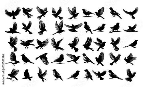 Pigeon silhouette, flying dove silhouette vector, Set of black bird silhouettes.