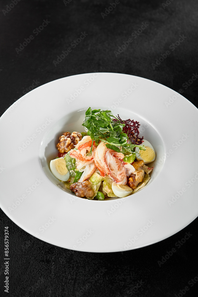 Fresh Crab Salad with Eggs and Vegetables in White Plate on Dark Background Fresh Crab Salad with Eggs and Vegetables in White Plate on Dark Background