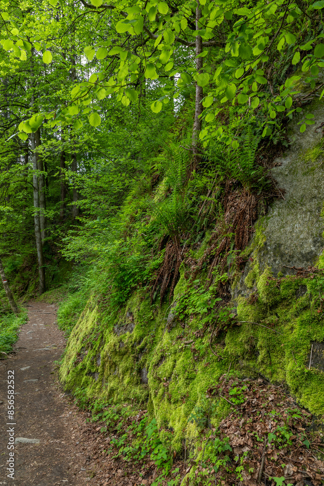 Passerschluchtenweg im Passeiertal bei Moos, Südtirol Passerschluchtenweg im Passeiertal bei Moos, Südtirol