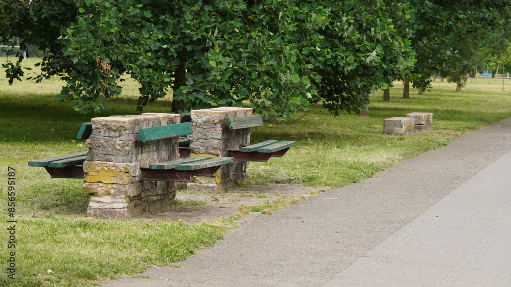 Fototapeta premium wooden bench in the park
