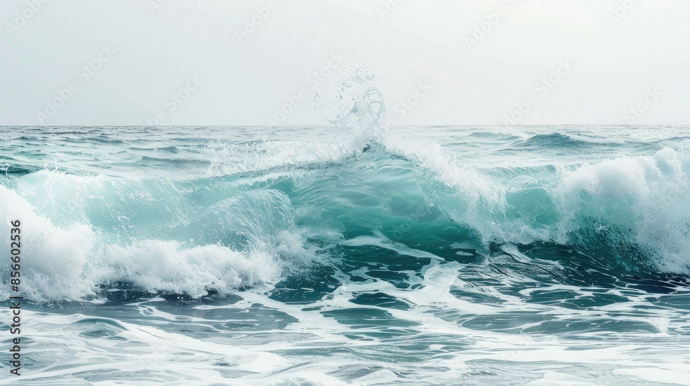 Fototapeta premium foamy waves rolling up in ocean 