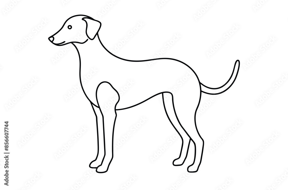 Fototapeta premium Dog Line art Drawing, continuous line drawing of dog, dogs vector
