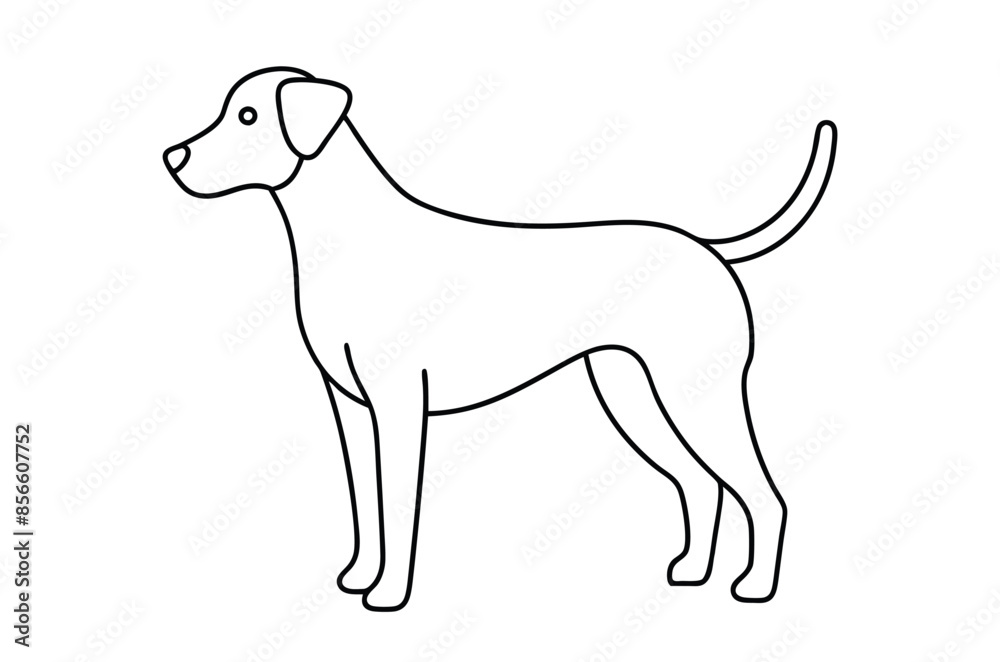 Dog Line art Drawing, continuous line drawing of dog, dogs vector Dog Line art Drawing, continuous line drawing of dog, dogs vector