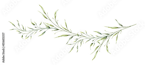 Watercolor botanical long branches and leaves