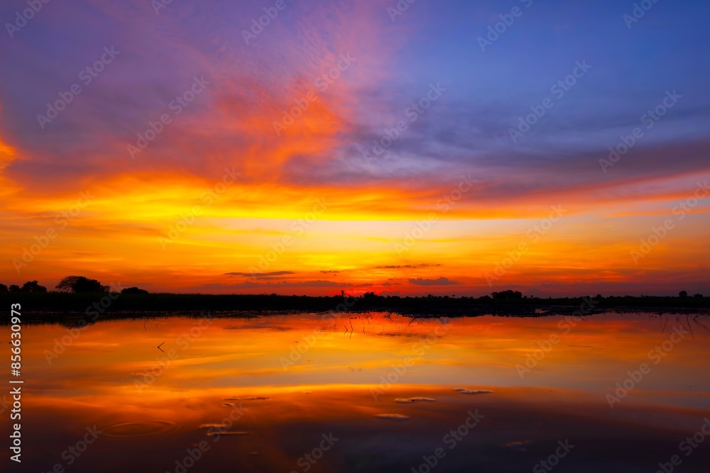 Scenic view of beautiful sunrise or dawn above the pond or lake at spring or early summer morning with cloudy sky background, clouds over water and reed grass with dew at foreground. Water reflection. Scenic view of beautiful sunrise or dawn above the pond or lake at spring or early summer morning with cloudy sky background, clouds over water and reed grass with dew at foreground. Water reflection.