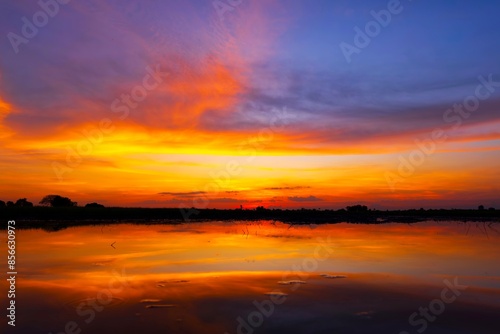 Scenic view of beautiful sunrise or dawn above the pond or lake at spring or early summer morning with cloudy sky background, clouds over water and reed grass with dew at foreground. Water reflection.