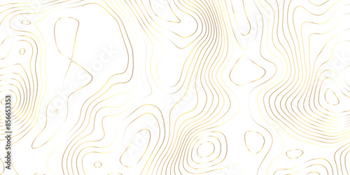 Abstract topography geography contour map and curve reliefs background .elevation contouring white paper and golden lines background .geographic mountain contour map grid vector background design . photo