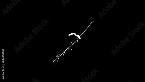 Simple Liquid Transitions on Black Background for Motion Graphic Pack 3